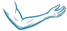 Official Logo MAR-Therapie